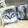 Coisas_coisas_photofix_01