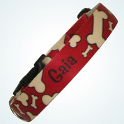 Gaia
